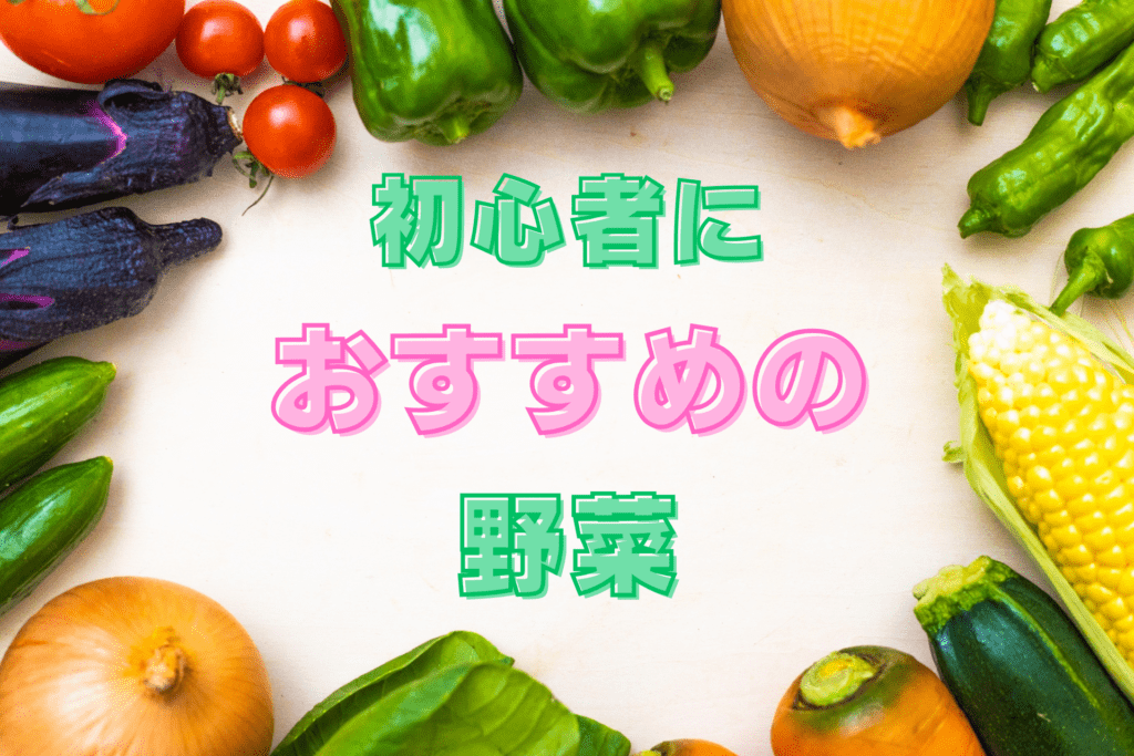 初心者におすすめの野菜