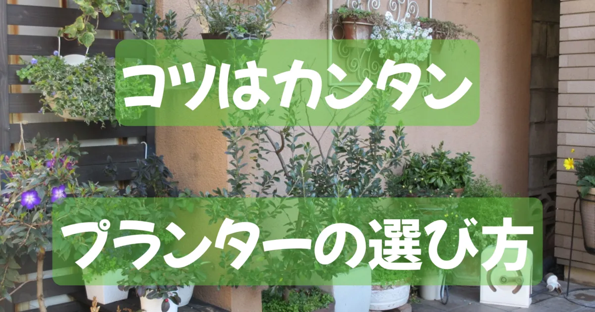 プランターで彩られた玄関