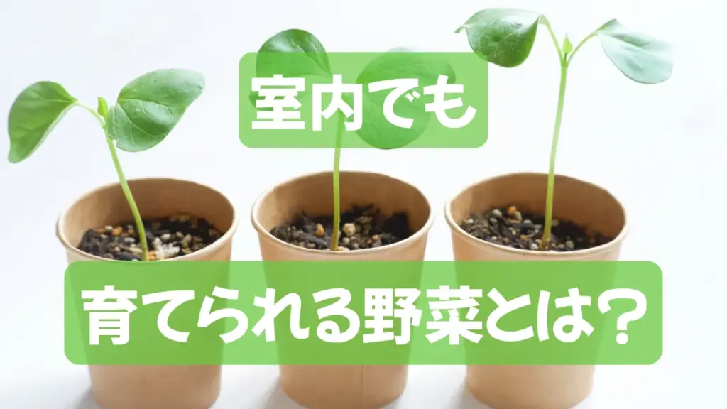 手軽に紙コップでプランター